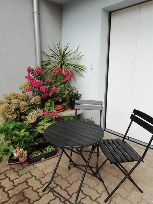 Gite Haury Cleebourg Dış mekan fotoğraf